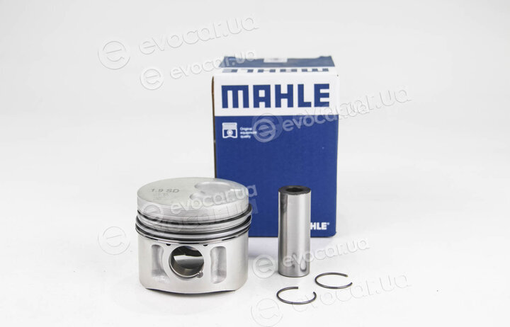 Mahle 029 82 00