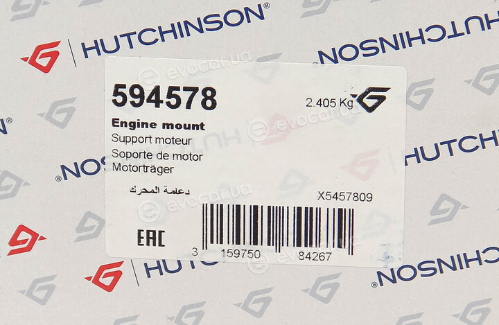 Hutchinson 594578