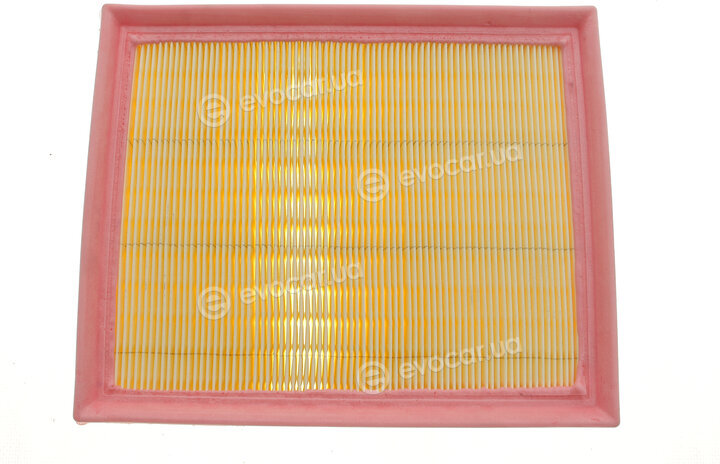 Solgy 103128