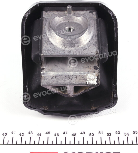 Hutchinson 538B49