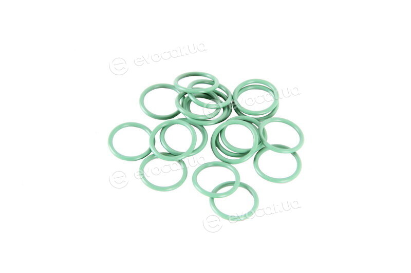 Valeo 509155