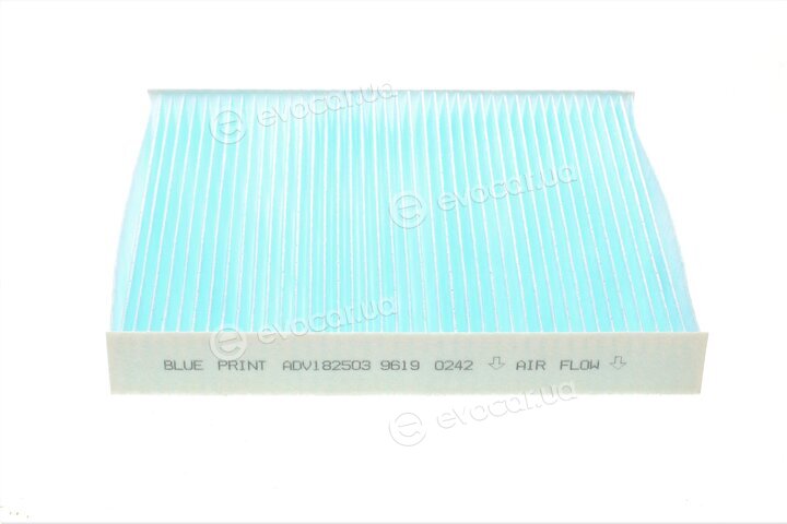 Blue Print ADV182503