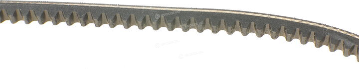 Continental AVX10X800