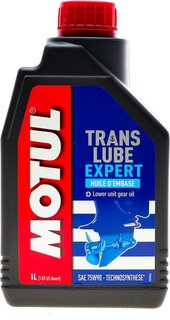 Motul 106831