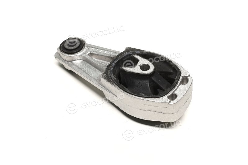 Sasic 2700021