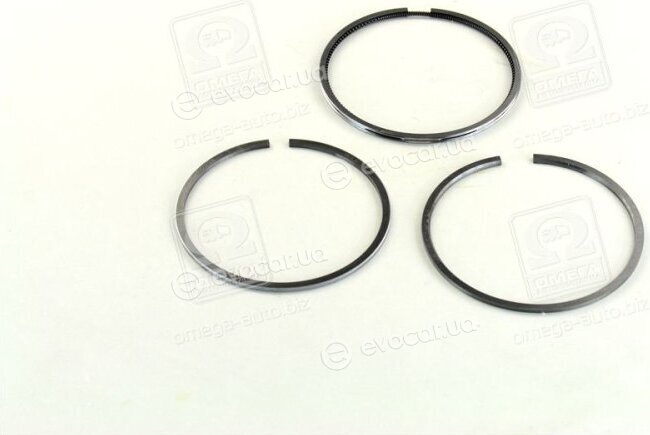 Mahle 029 55 N1
