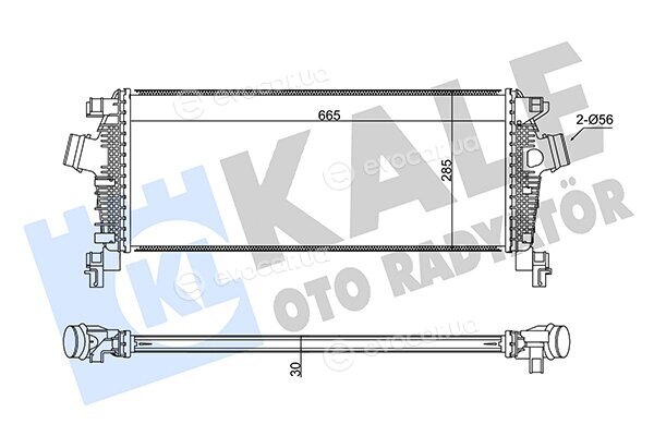 Kale 350925