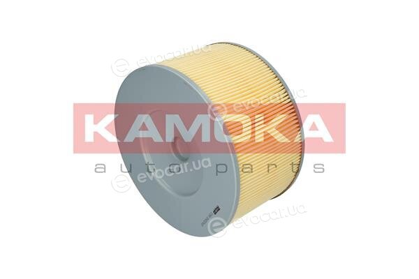 Kamoka F215901
