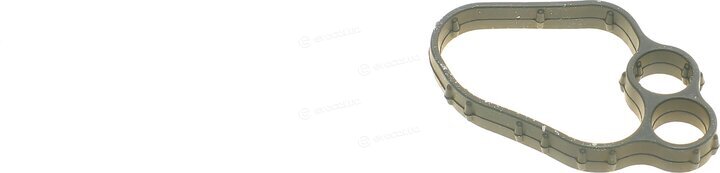 Elring 850.970