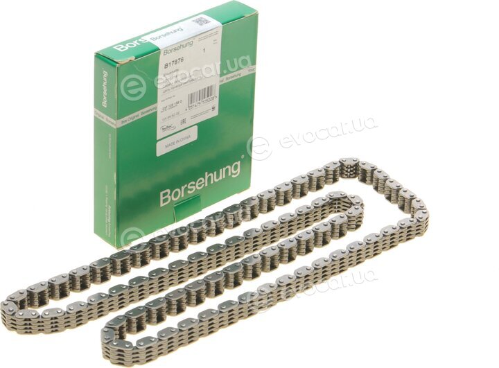 Borsehung B17876