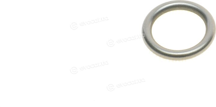 Elring 029.350