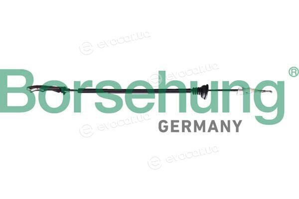 Borsehung B12338