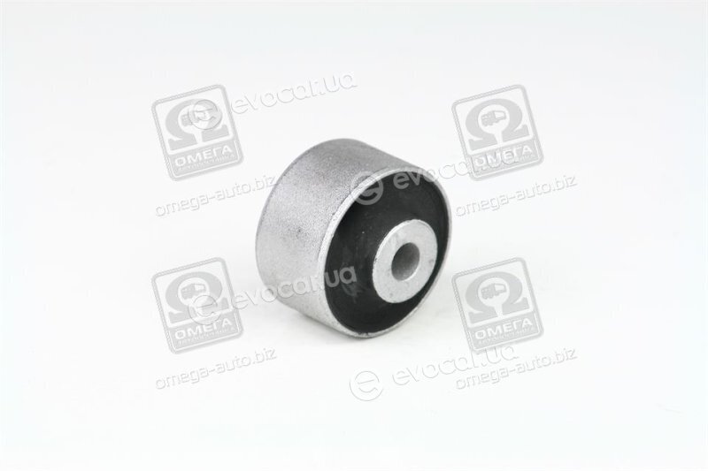 Lemforder 25909 01