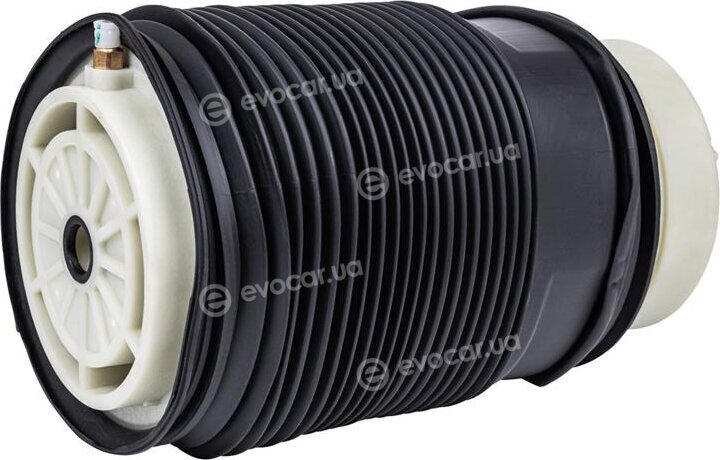 Starline TL V00017