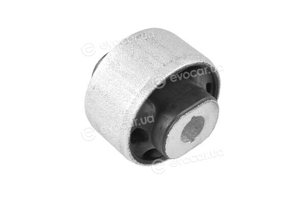 Tedgum TED47811