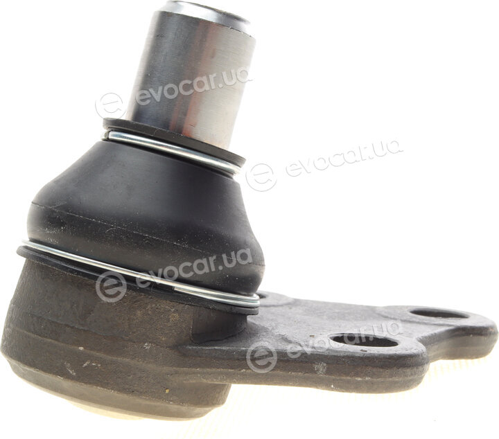 Solgy 203063