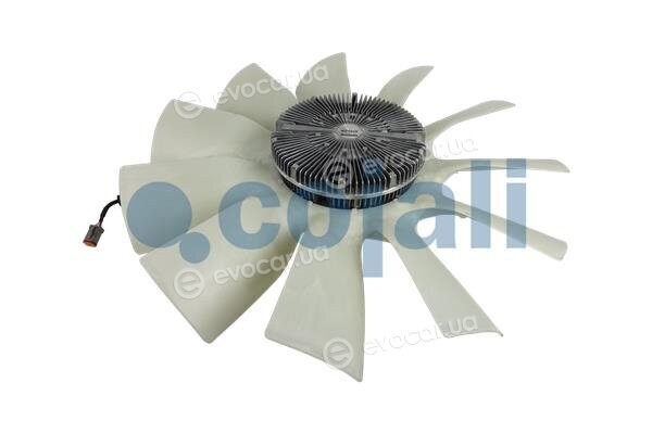 Cojali 7075421