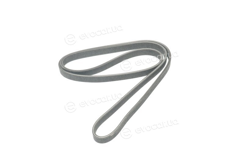Dayco 6DPK1825