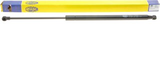 Magneti Marelli 430719072300