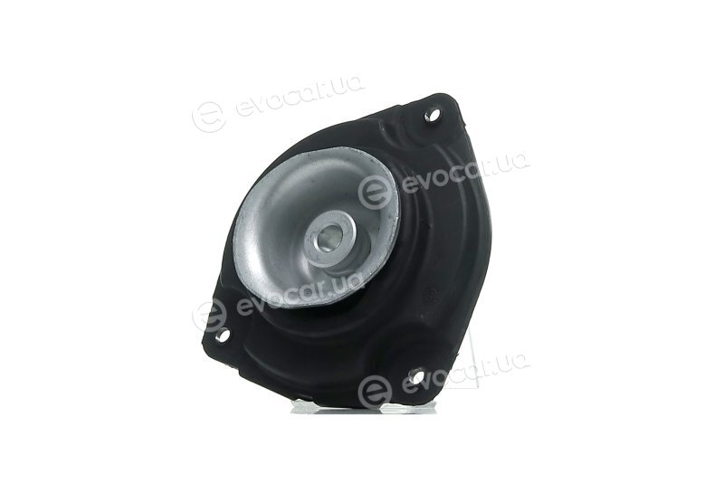 Sasic 2654022