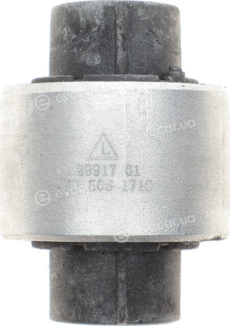 Hutchinson 590217