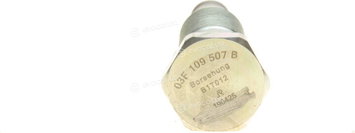 Borsehung B18843
