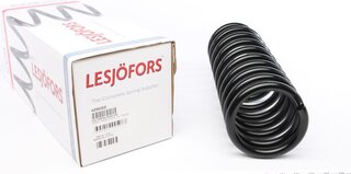 Lesjofors 4295002