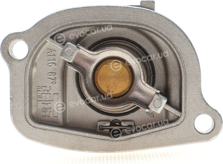 Mahle TI 68 87D