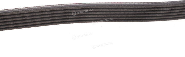 Gates 6PK1000