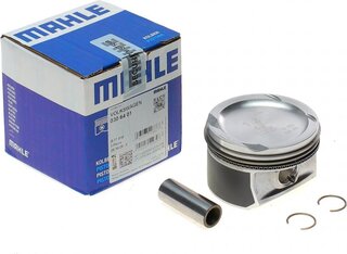 Mahle 030 64 01