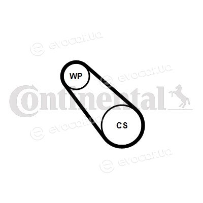 Continental 3PK725 ELAST WP1