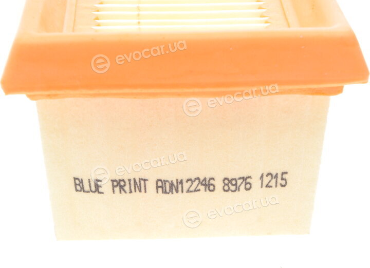Blue Print ADN12246