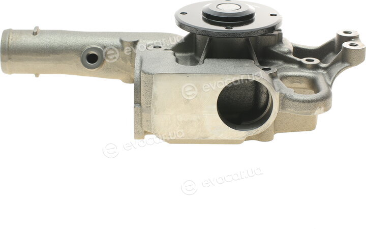 Hepu P1554