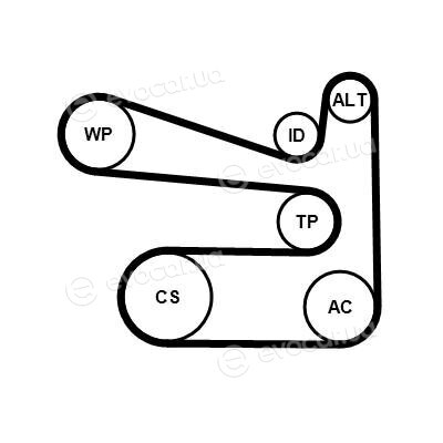 Continental 6 PK 1693 K1