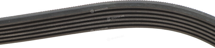 Gates 6PK1103