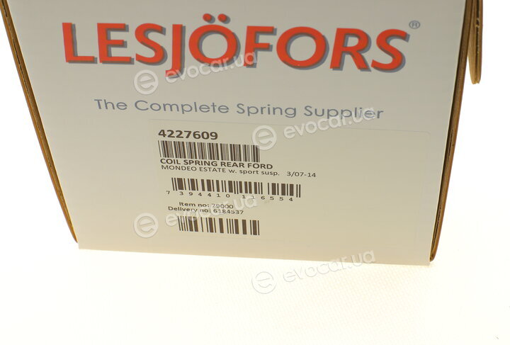 Lesjofors 4227609
