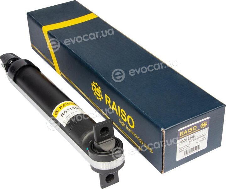 Raiso RS319546