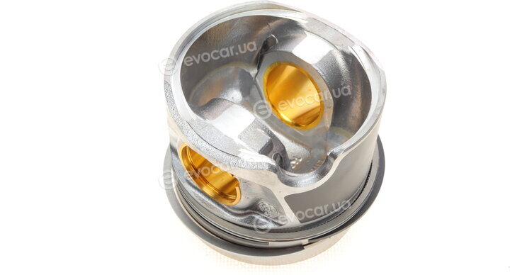 Mahle 028 PI 00116 000