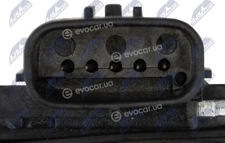 NTY EPP-SB-001