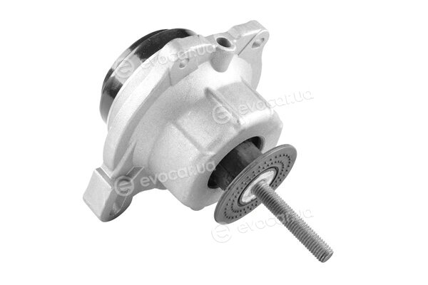 Tedgum TED44719