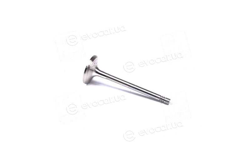 Mahle 029 VA 31097 100