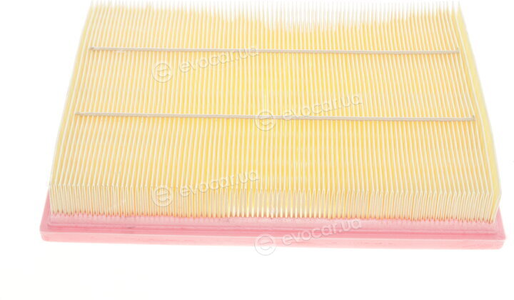 Solgy 103052