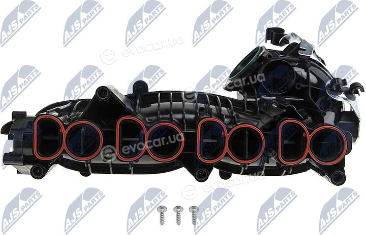 NTY BKS-BM-001