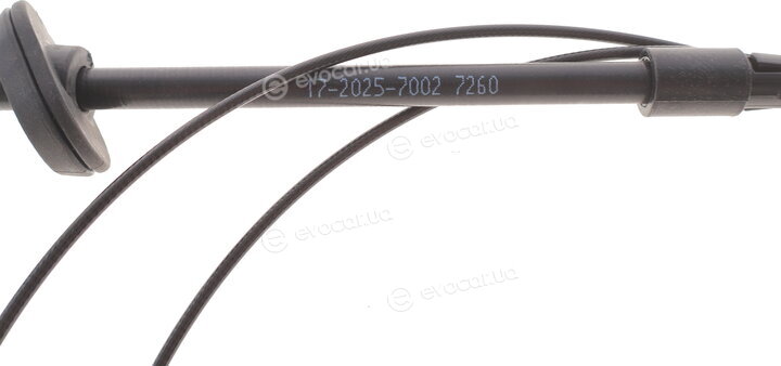 Cavo 7002 726