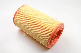 Asam 70287