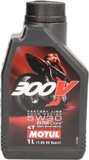 Motul 104108