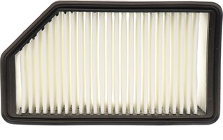Hengst E1137L