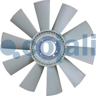 Cojali 7037130