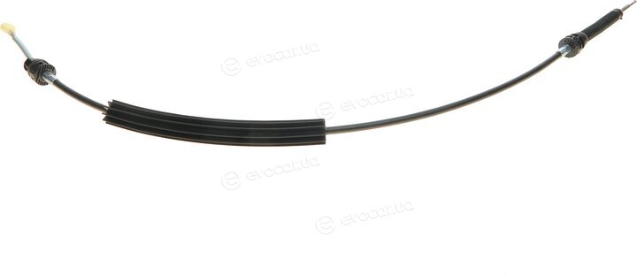 Borsehung B11515