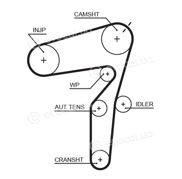 Gates K035623XS